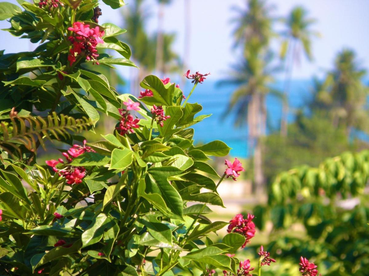 Pink House Lamai Beach (Koh Samui) Exterior foto